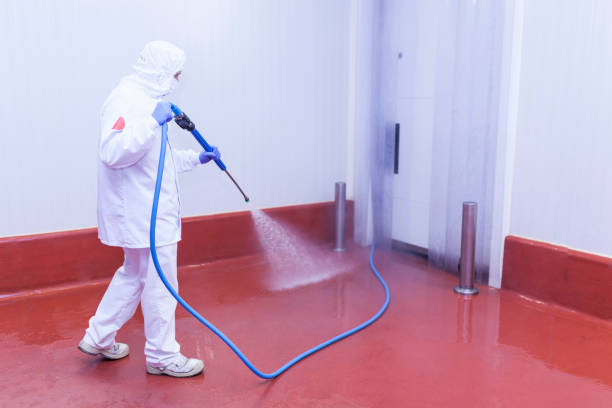 Best Paint Preparation  in Pimlico, SC